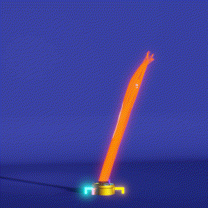 wacky_dude_tubes: 3645