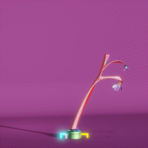 wacky_dude_tubes: 1551