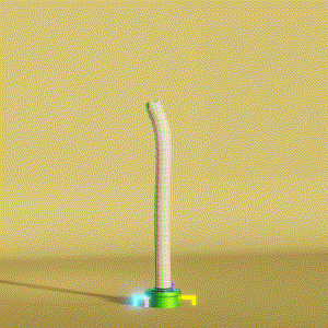 wacky_dude_tubes: 2464