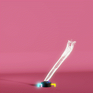 wacky_dude_tubes: 6726