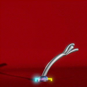 wacky_dude_tubes: 5090