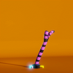 wacky_dude_tubes: 8546