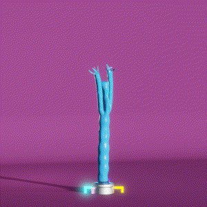 wacky_dude_tubes: 5124