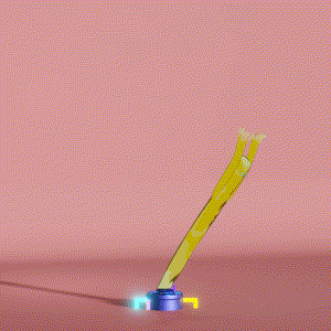 wacky_dude_tubes: 4493