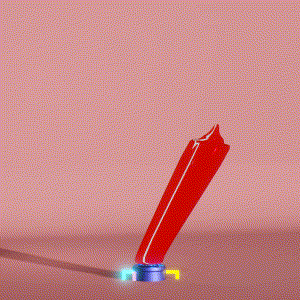 wacky_dude_tubes: 595
