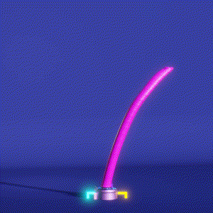 wacky_dude_tubes: 2787