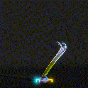 wacky_dude_tubes: 3836