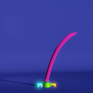 wacky_dude_tubes: 8676