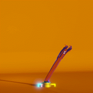 wacky_dude_tubes: 776
