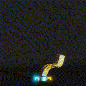 wacky_dude_tubes: 4363