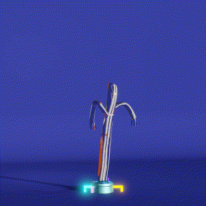wacky_dude_tubes: 6457