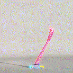 wacky_dude_tubes: 4253