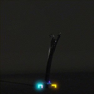 wacky_dude_tubes: 9258