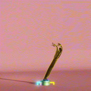 wacky_dude_tubes: 9707