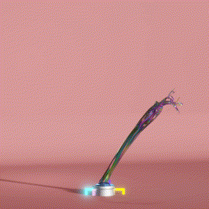 wacky_dude_tubes: 5932