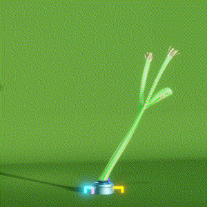wacky_dude_tubes: 2744