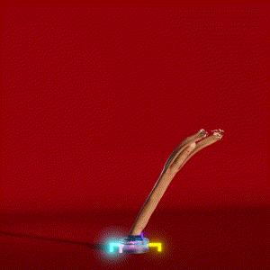 wacky_dude_tubes: 2074