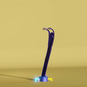 wacky_dude_tubes: 4176