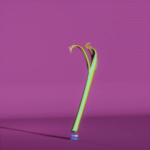 wacky_dude_tubes: 8847