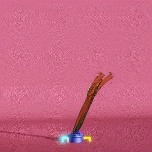 wacky_dude_tubes: 6673