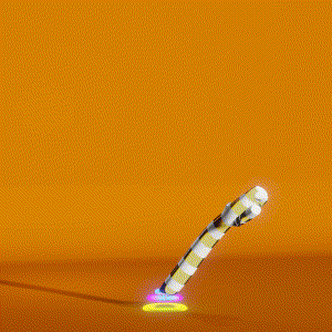 wacky_dude_tubes: 583