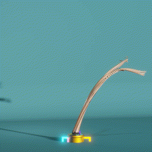 wacky_dude_tubes: 6205