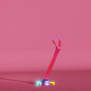 wacky_dude_tubes: 1441