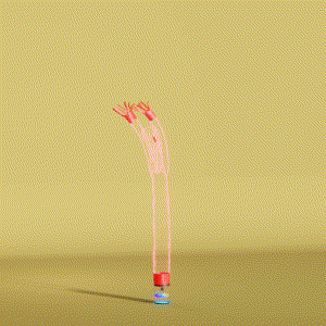 wacky_dude_tubes: 1563