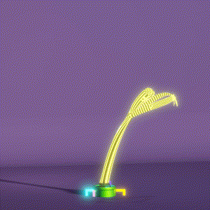 wacky_dude_tubes: 9054
