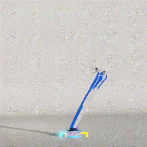wacky_dude_tubes: 5885