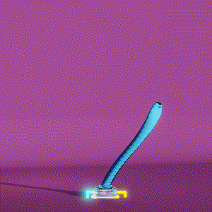 wacky_dude_tubes: 4846