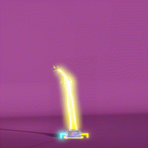 wacky_dude_tubes: 6815