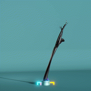 wacky_dude_tubes: 8635
