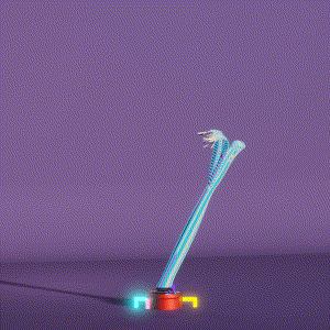 wacky_dude_tubes: 4562