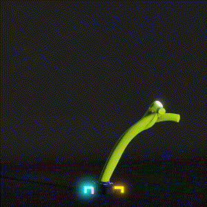 wacky_dude_tubes: 438