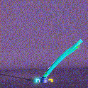 wacky_dude_tubes: 3081