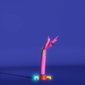 wacky_dude_tubes: 8428