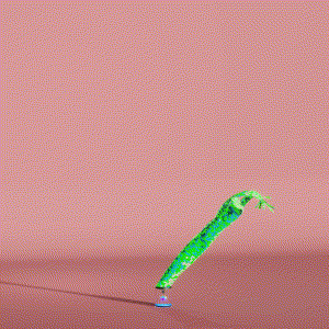 wacky_dude_tubes: 3051
