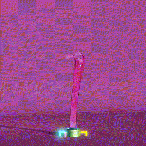 wacky_dude_tubes: 3954