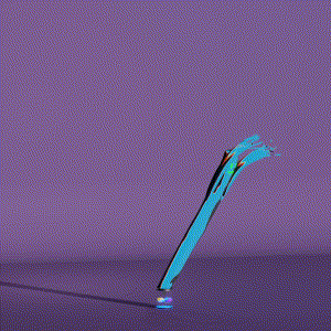 wacky_dude_tubes: 2815