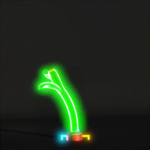 wacky_dude_tubes: 1656