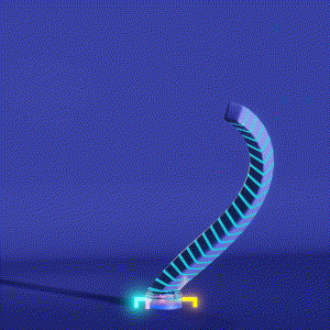 wacky_dude_tubes: 5086