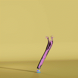 wacky_dude_tubes: 8396