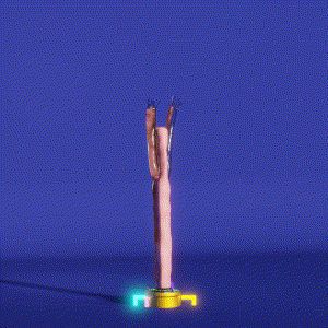 wacky_dude_tubes: 6230
