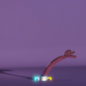 wacky_dude_tubes: 4