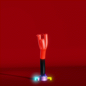 wacky_dude_tubes: 1587