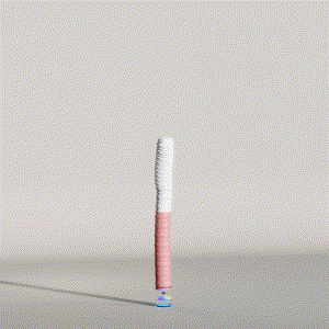 wacky_dude_tubes: 556