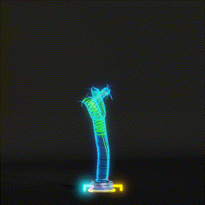 wacky_dude_tubes: 2960