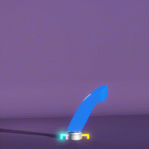 wacky_dude_tubes: 5243