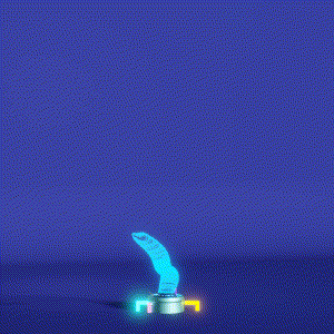 wacky_dude_tubes: 8116
